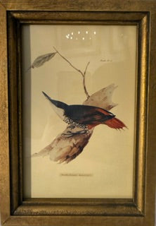 Gold frame with Bird - 3