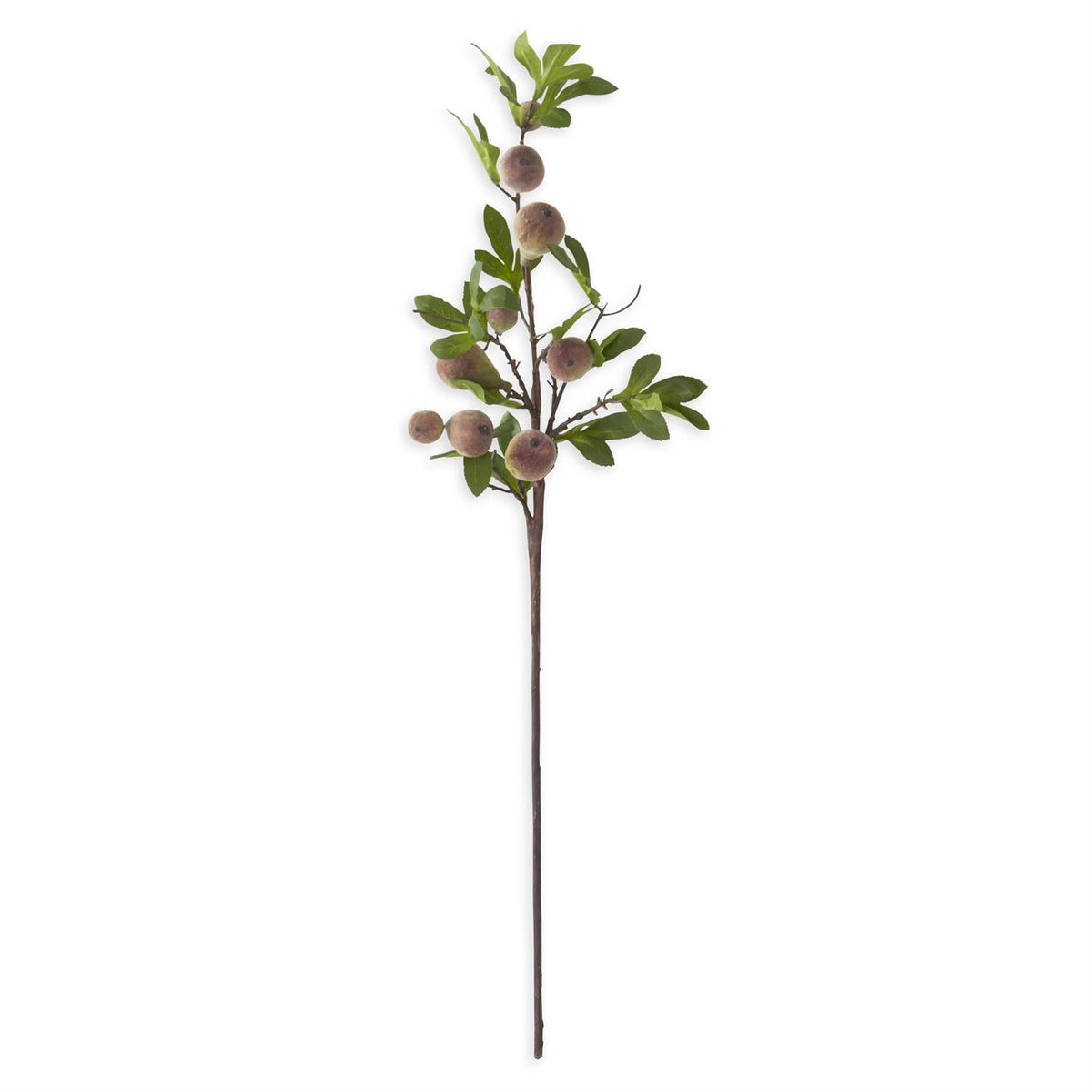 35 Inch Flocked Fig Stem