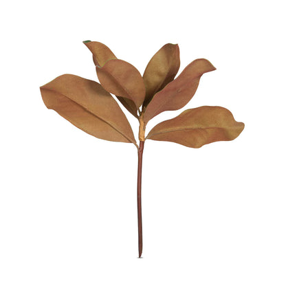 Magnolia Leaves